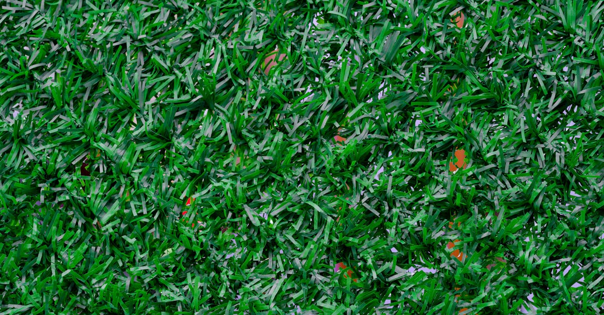 Enhancing Outdoor Spaces with Artificial Grass Aesthetic