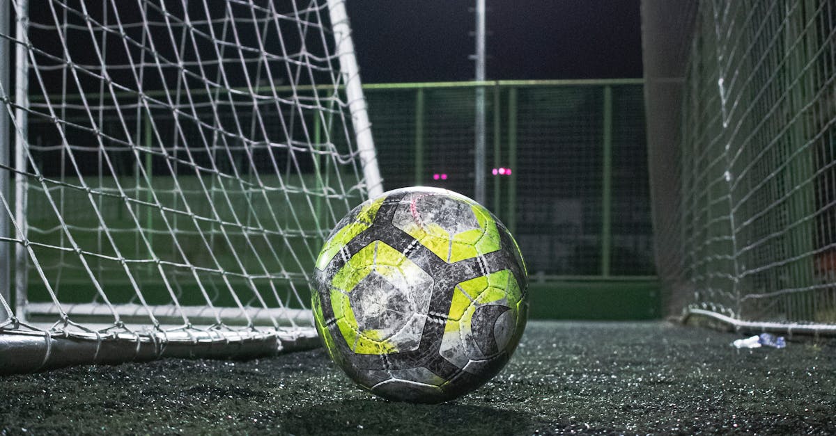 Must-Have Gear for a Successful Artificial Grass Project