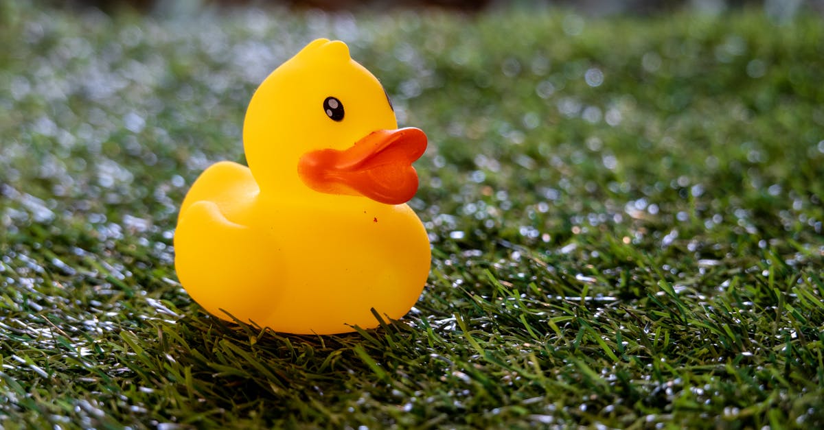 The Impact of Artificial Grass on Soil Erosion Prevention